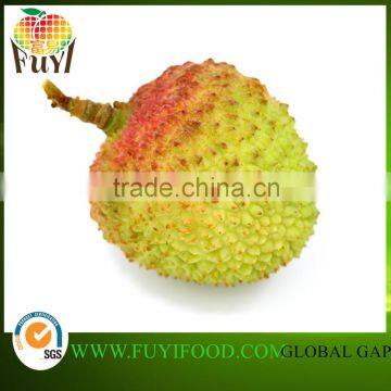 China Fresh Lychee Fruit not canned