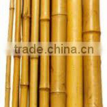 Bamboo Pole