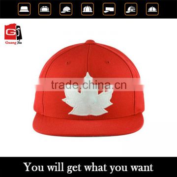 Custom hot sale fashion 3d embroidery design your own logo 100% cotton bloods snapback wholesale