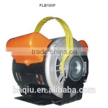 FLB160F Capacitor Start Single Phase AC Electric Motor