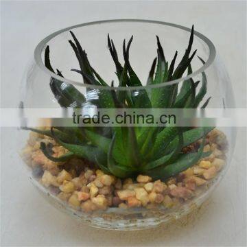 Gift Giveaway Artificial Plant Round Terrarium