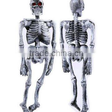 Pirate and Human Skeleton Giant Captain V Sir Mask Come to the Masquerade Party photo-4