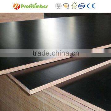 Film Faced Plywood Concrete Formwork Board photo-4