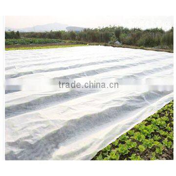 Guangzhou Junyu Agriculture Nonwoven Fabric as a Protection Against Heat Loss in Greenhouses and Garden Tunnels photo-3