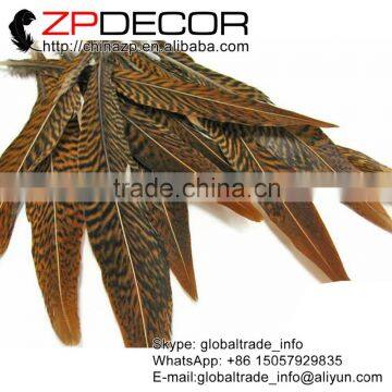 ZPDECOR Factory Wholesale Leading Selling Natural 15cm-20cm Golden Pheasant Tail Feathers for Carnivals photo-2