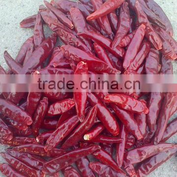 Red chilli, Red Bullet (Zidantou chilli) , small chilli