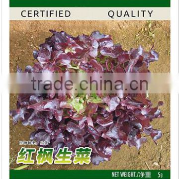 Chinese vegetable hybrid Lettuce seed Features vegetables seeds for sale-Farmer favorites