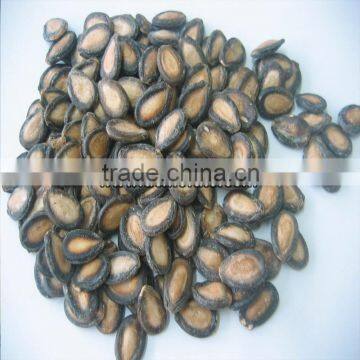 Hot Products Delicious Watermelon Seed photo-2