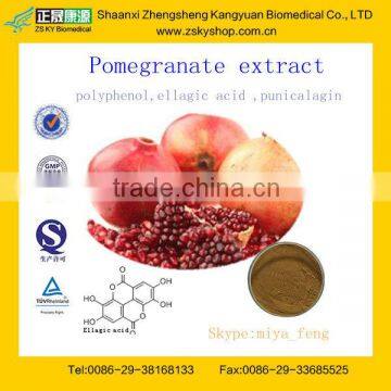 GMP Factory Supply 100% Natual Pomegranate Extract Punicalagin