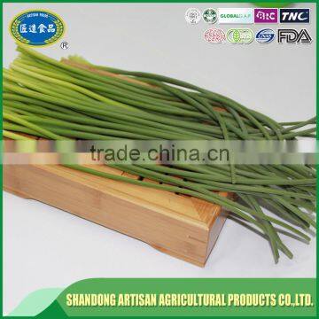 2016 garlic sprout,garlic sprout price