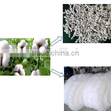 Easy Operation Industrial Cotton Seeds Separating Machine