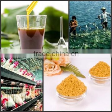 High Quality Pure Organic Soya Lecithin Oil Powder