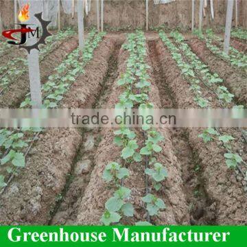 Tomato Growing Sun Shade Plastic Film Greenhouse photo-5