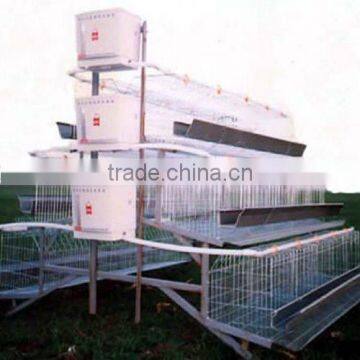 A type automatic chicken layer battery cage