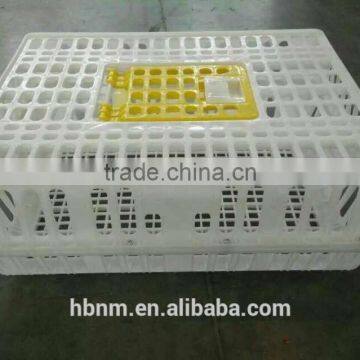 china best price plastic chicken transport cage for poultry farms