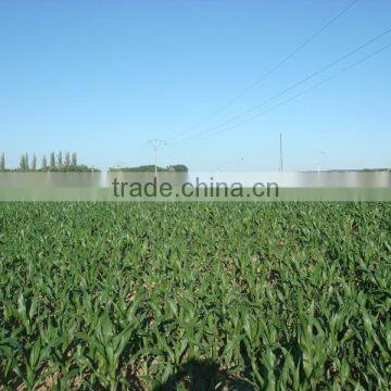 100mm Aluminium Irrigation Pipe photo-4