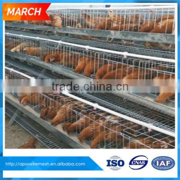 big sale beautiful reduce aggression 3 tiers galvanized broiler chicken cage