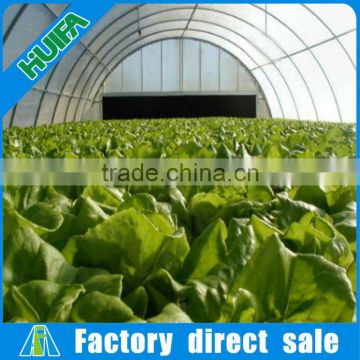 Customized service Poly tunnel single span green house new year on sale