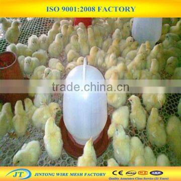 Factory Supply Plastic Chicken Wire Mesh photo-2