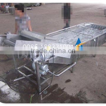 Commercial Carrot Cleaning Machine Carrot Peeling Machine Carrot Washing Machine photo-3