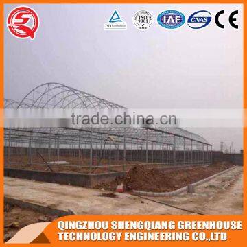 Multi-span Plastic Tomato Greenhouse Hot Galvanized Steel Frame photo-5