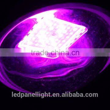 180W MCOB Led Grow Light for Indoor Greenhouse Growing Medical Plants photo-6