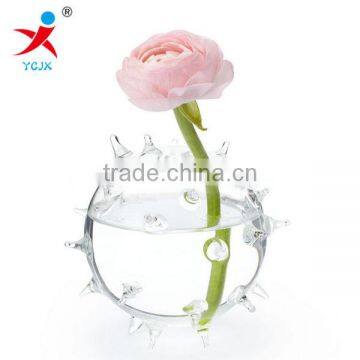 Creative ball bump transparent glass vase hydroponic flower implement fashion household act the role ofing is tasted handicraft