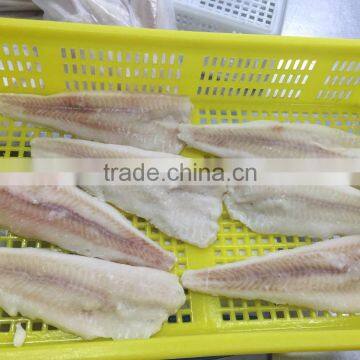 Alaska Pollock Fillet photo-2