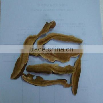 reishi herbs pieces chinese herbs