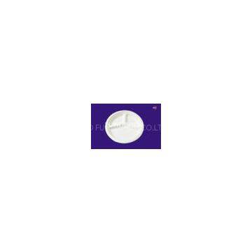 Party / Kitchen Biodegradable Tableware 10 Inch Three Spaces Plate
