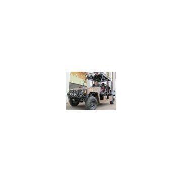 Chery 800cc Water-cooled Engine, Luxurious Aluminum Rim Joyner Off Road 800UV-R4