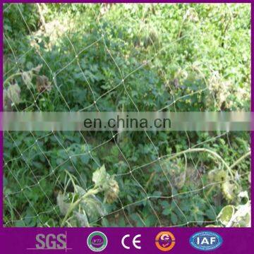 Monofilament PE Anti Bird Net for Catching Bird