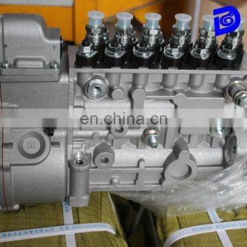 CPES6PD120RS Genuine BYC Fuel Pump 10404536050