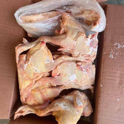 Frozen Whole Sanhuang Chicken Competitive Low Price High Quality photo-3