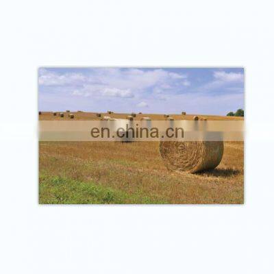 Hay Net HDPE+UV Agriculture White Collect Mesh Silage Bale Wrap Net