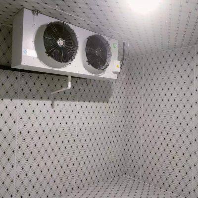 Rapid Freezing Room，Sub-zero Cold Storage，Small Vegetable Cold Room