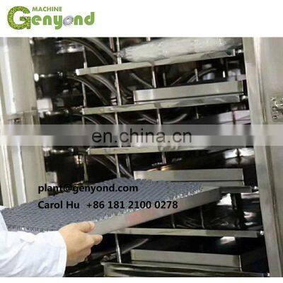 Factory Genyond Vacuum Lyophilization Lyophilized Freeze Dried FD Food Making Machine Lyophilizer Freeze Drying Machine photo-3