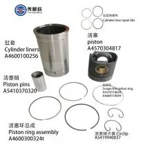 Piston Liner Assembly for Mercedes-Benz Om457 Om460 Om501 Om502 Engine Parts A4570304817, A4600100256, A4600300324