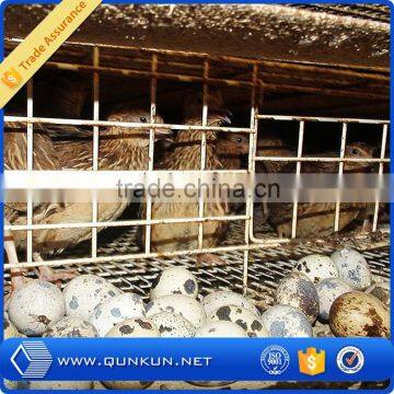 allibaba.com quail bird cage