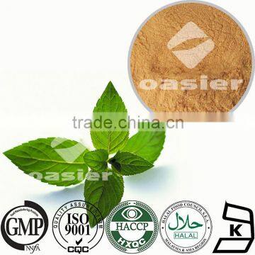 Herbal Extract/Peppermint Leaf Extract/Menthol