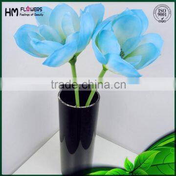 Blue Lotus Flowers