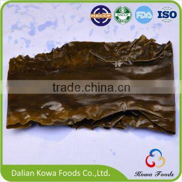 2015 Dried Sea Kelp Cut Shredded laminaria seaweed