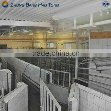 cattle lairage system for big scale cattle slaughterhouse plant