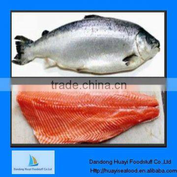 Import products salmon fillet fresh frozen