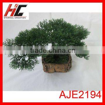 Plastic pots for nursery plants