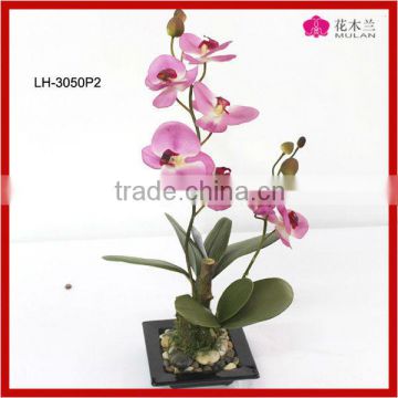 High Quality Artificial Cymbidium Orchid Two Heads Flower