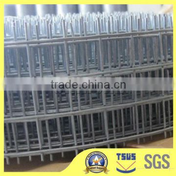 Welded Wire Mesh