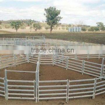 cattle panel cattle crush loading ramp