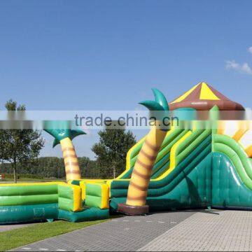 Hola jungle inflatable dry slide/inflatable slide/inflatable water slide