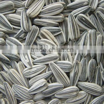 sunflower seeds